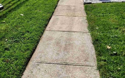 Photo of Brian S.'s yard after getting lawn care in Baltimore, MD