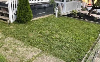 Photo of Tanya B.'s yard after getting lawn care in Carnegie, PA