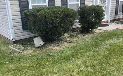 Photo of Andrew P.'s yard after getting lawn care in Charles City, VA