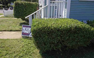 Photo of Joy R.'s yard after getting lawn care in Chicopee, MA