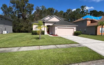 Photo of Diana L.'s yard after getting lawn care in Fleming Island, FL