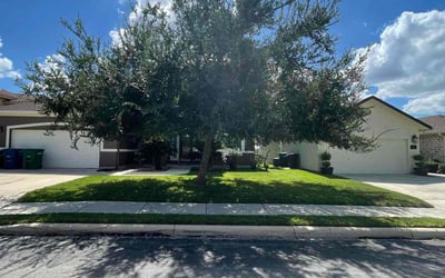 Photo of Clint K.'s yard after getting lawn care in La Vernia, TX