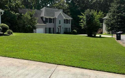 Photo of Stacy A.'s yard after getting lawn care in Acworth, GA