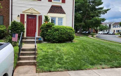 Photo of Alida A.'s yard after getting lawn care in Centreville, VA