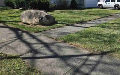 Photo of Jessica C.'s yard after getting lawn care in Westland, MI