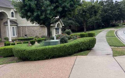 Photo of Bridget H.'s yard after getting lawn care in Dripping Springs, TX