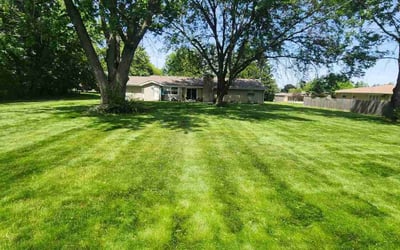 Photo of Kevin F.'s yard after getting lawn care in Waxhaw, NC
