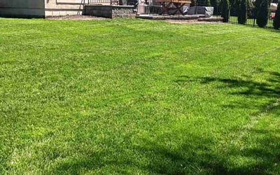 Photo of Abdur R.'s yard after getting lawn care in Hilliard, OH