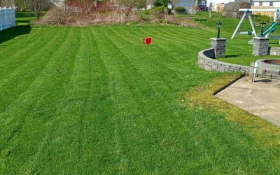 Photo of Joe B.'s yard after getting lawn care in Syracuse, NY