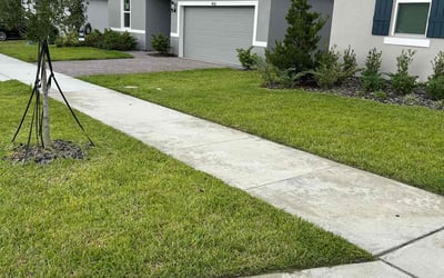 Photo of Meera M.'s yard after getting lawn care in Haines City, FL