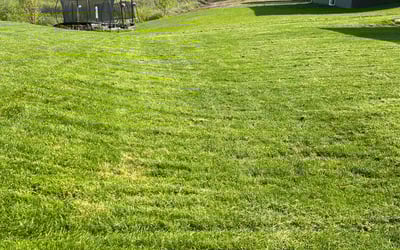 Photo of Brian M.'s yard after getting lawn care in Columbia Heights, MN