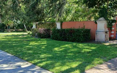 Photo of Marion G.'s yard after getting lawn care in Oldsmar, FL
