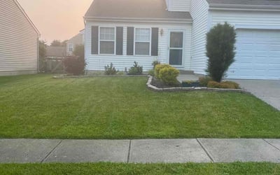 Photo of Denise W.'s yard after getting lawn care in Maineville, OH