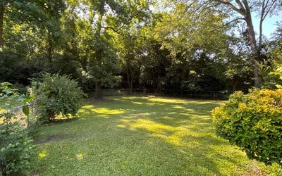 Photo of Asia F.'s yard after getting lawn care in Augusta, ME