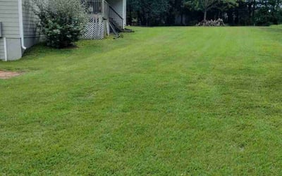 Photo of Kimberly S.'s yard after getting lawn care in Loganville, GA
