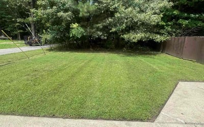 Photo of Pete C.'s yard after getting lawn care in Newport News, VA