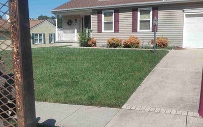 Photo of Ryan B.'s yard after getting lawn care in Abingdon, MD