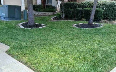 Photo of Ether T.'s yard after getting lawn care in Comfort, TX
