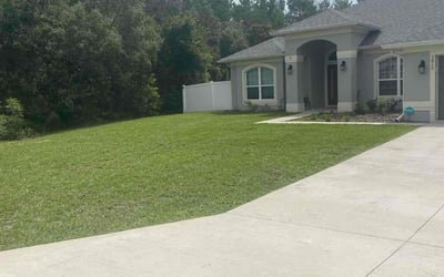 Photo of Alison R.'s yard after getting lawn care in Belleview, FL