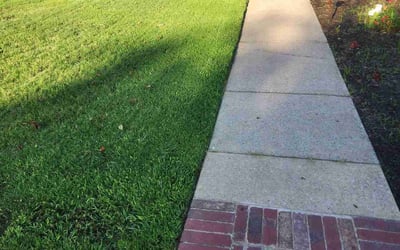 Photo of Rachel M.'s yard after getting lawn care in Cabot, AR