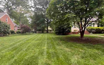 Photo of Barbara B.'s yard after getting lawn care in Lanexa, VA