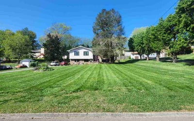 Photo of Mars S.'s yard after getting lawn care in Knoxville, TN