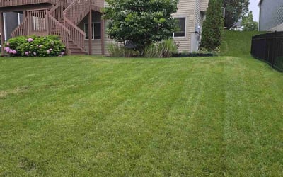 Photo of Vanessa S.'s yard after getting lawn care in Mound, MN