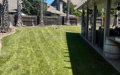Photo of Jose M.'s yard after getting lawn care in Fort Myers, FL