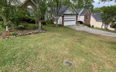 Photo of Ortagus F.'s yard after getting lawn care in Irmo, SC