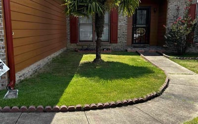 Photo of Nichole D.'s yard after getting lawn care in Bayonne, NJ