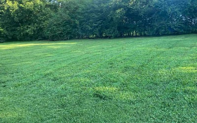 Photo of Angie S.'s yard after getting lawn care in La Vergne, TN