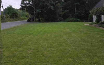 Photo of Rick M.'s yard after getting lawn care in Ludlow, MA