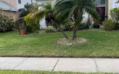 Photo of Jordan M.'s yard after getting lawn care in Kissimmee, FL