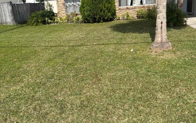 Photo of Joan D.'s yard after getting lawn care in Ormond Beach, FL