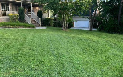 Photo of Jun N.'s yard after getting lawn care in Charlotte, NC