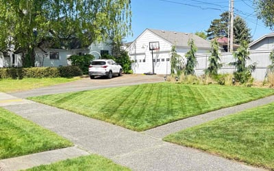 Photo of Amy S.'s yard after getting lawn care in Tacoma, WA