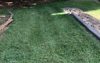Photo of Rama T.'s yard after getting lawn care in Villa Rica, GA