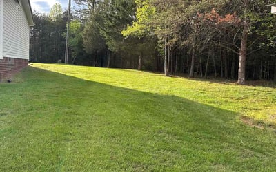 Photo of Patrice B.'s yard after getting lawn care in Christiansburg, VA