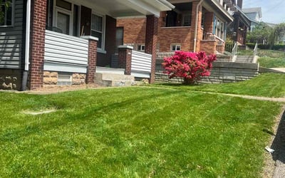 Photo of Debra Y.'s yard after getting lawn care in Belle Vernon, PA
