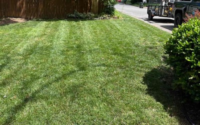 Photo of Elaine M.'s yard after getting lawn care in Newport News, VA