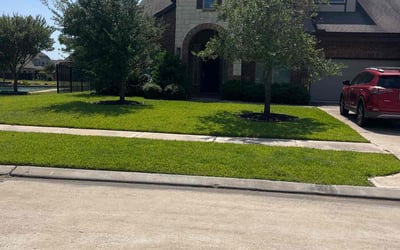 Photo of Jasmine C.'s yard after getting lawn care in Stafford, TX
