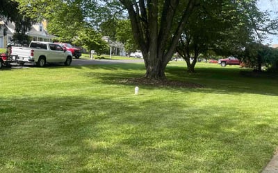 Photo of Thomas P.'s yard after getting lawn care in Souderton, PA