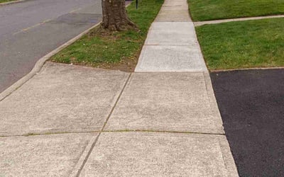 Photo of Francine G.'s yard after getting lawn care in Lodi, NJ