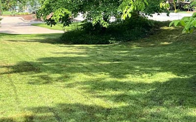 Photo of Mayra G.'s yard after getting lawn care in Houston, TX