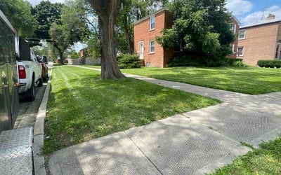 Photo of James R.'s yard after getting lawn care in Des Plaines, IL