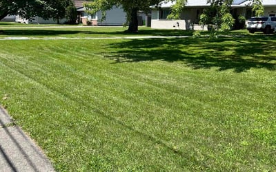 Photo of Sean R.'s yard after getting lawn care in Roseville, MI