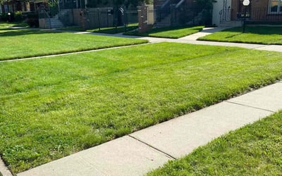 Photo of Deana J.'s yard after getting lawn care in Melrose Park, IL