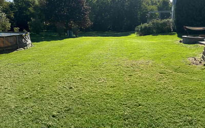 Photo of Trisane M.'s yard after getting lawn care in Joliet, IL