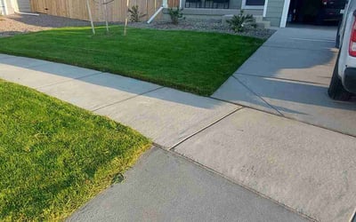 Photo of Sandra D.'s yard after getting lawn care in Greeley, CO