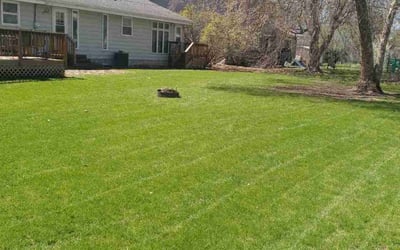 Photo of Paula S.'s yard after getting lawn care in Roseville, MN